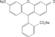 HQ环球体育